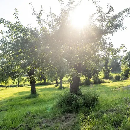 شقة Mit Und Alpenblick