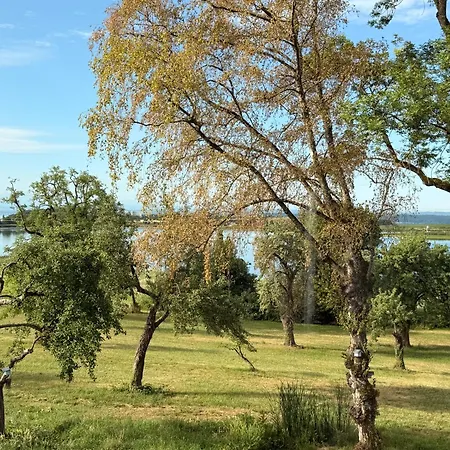 Διαμέρισμα Mit Und Alpenblick *